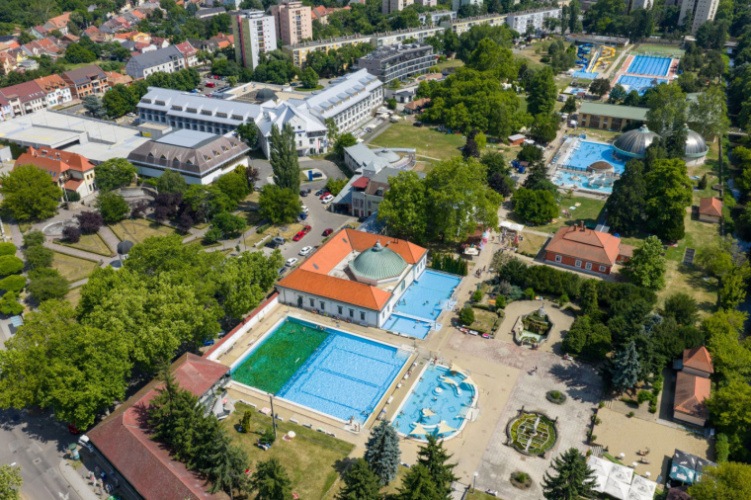 Flóra***